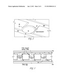 MICROELECTROPORATION DEVICE FOR GENOMIC SCREENING diagram and image