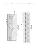 MICROELECTROPORATION DEVICE FOR GENOMIC SCREENING diagram and image