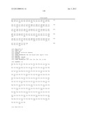 HOMOGENOUS PREPARATIONS OF IL-28 AND IL-29 diagram and image