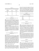 HOMOGENOUS PREPARATIONS OF IL-28 AND IL-29 diagram and image