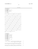 HOMOGENOUS PREPARATIONS OF IL-28 AND IL-29 diagram and image