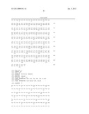 HOMOGENOUS PREPARATIONS OF IL-28 AND IL-29 diagram and image