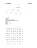 HOMOGENOUS PREPARATIONS OF IL-28 AND IL-29 diagram and image