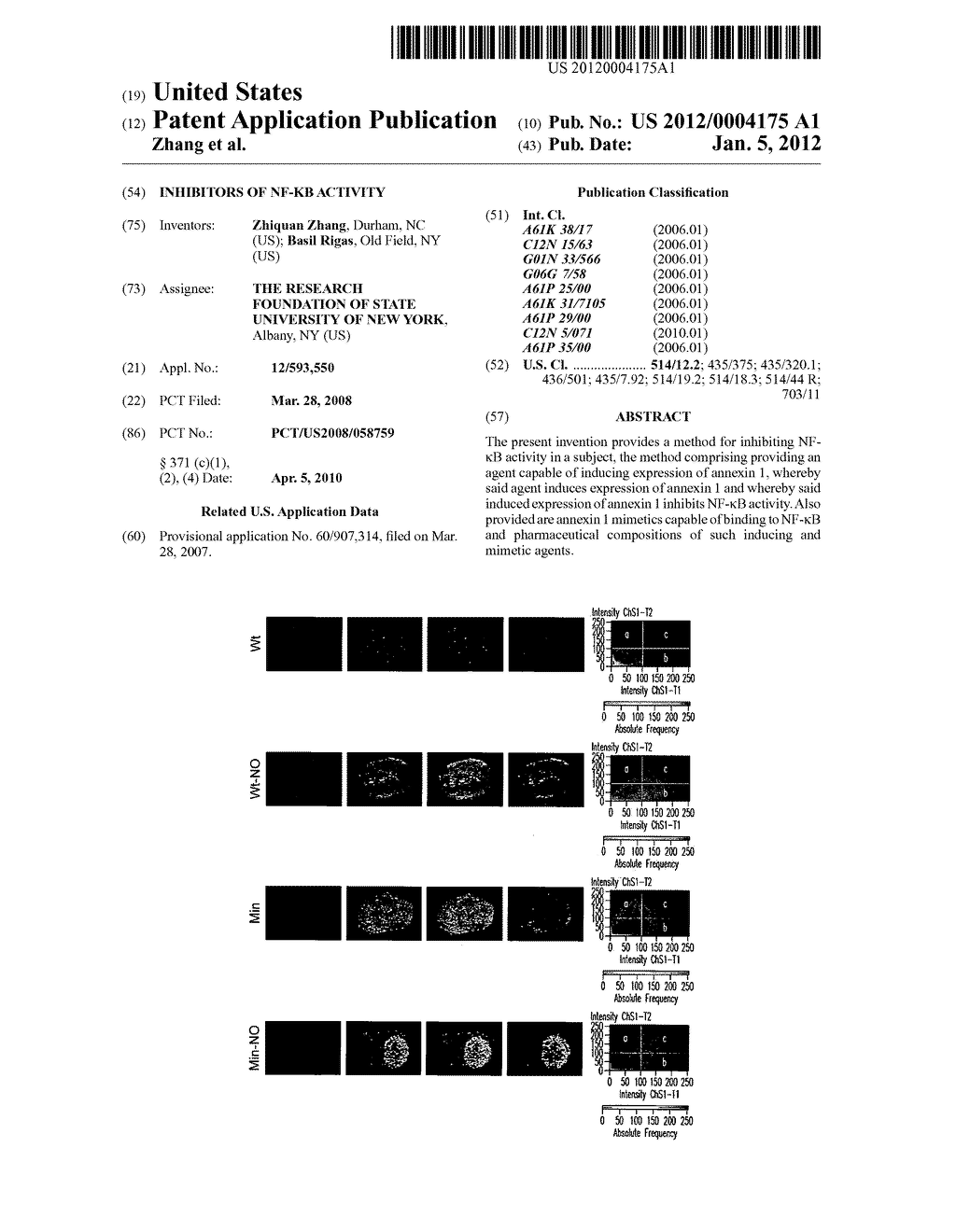 INHIBITORS OF NF-KB ACTIVITY - diagram, schematic, and image 01