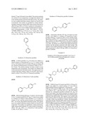 NOVEL PIPERAZINE DERIVATIVES AS INHIBITORS OF STEAROYL-CoA DESATURASE diagram and image