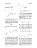 NOVEL PIPERAZINE DERIVATIVES AS INHIBITORS OF STEAROYL-CoA DESATURASE diagram and image