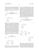 RAFT POLYMERISATION diagram and image