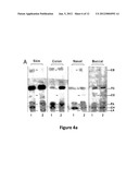 COMPOSITIONS FOR SOLUBILIZING TISSUE diagram and image