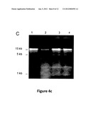 COMPOSITIONS FOR SOLUBILIZING TISSUE diagram and image