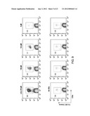 Vaccines Based on Targeting Antigen to DCIR Expressed on     Antigen-Presenting Cells diagram and image