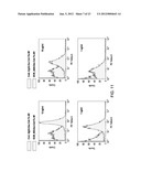 Vaccines Based on Targeting Antigen to DCIR Expressed on     Antigen-Presenting Cells diagram and image