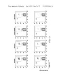 Vaccines Based on Targeting Antigen to DCIR Expressed on     Antigen-Presenting Cells diagram and image