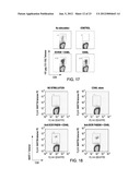 Vaccines Based on Targeting Antigen to DCIR Expressed on     Antigen-Presenting Cells diagram and image