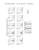 Vaccines Based on Targeting Antigen to DCIR Expressed on     Antigen-Presenting Cells diagram and image