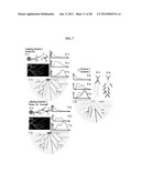 MICROELECTORODE ARRAY, METHODS FOR PREPARING THE SAME AND USES THEREOF diagram and image