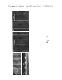 MICROELECTORODE ARRAY, METHODS FOR PREPARING THE SAME AND USES THEREOF diagram and image