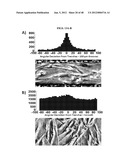 MICROELECTORODE ARRAY, METHODS FOR PREPARING THE SAME AND USES THEREOF diagram and image