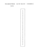 DEVICE FOR STORING DATA BY UTILIZING PSEUDORANDOM NUMBER SEQUENCE diagram and image