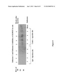 ANIMAL MODEL FOR PARKINSON S DISEASE diagram and image