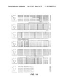 ANTIBODIES TO INSULIN-LIKE GROWTH FACTOR I RECEPTOR diagram and image