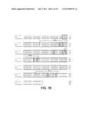 ANTIBODIES TO INSULIN-LIKE GROWTH FACTOR I RECEPTOR diagram and image