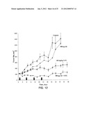 ANTIBODIES TO INSULIN-LIKE GROWTH FACTOR I RECEPTOR diagram and image