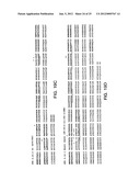 ANTIBODIES TO INSULIN-LIKE GROWTH FACTOR I RECEPTOR diagram and image