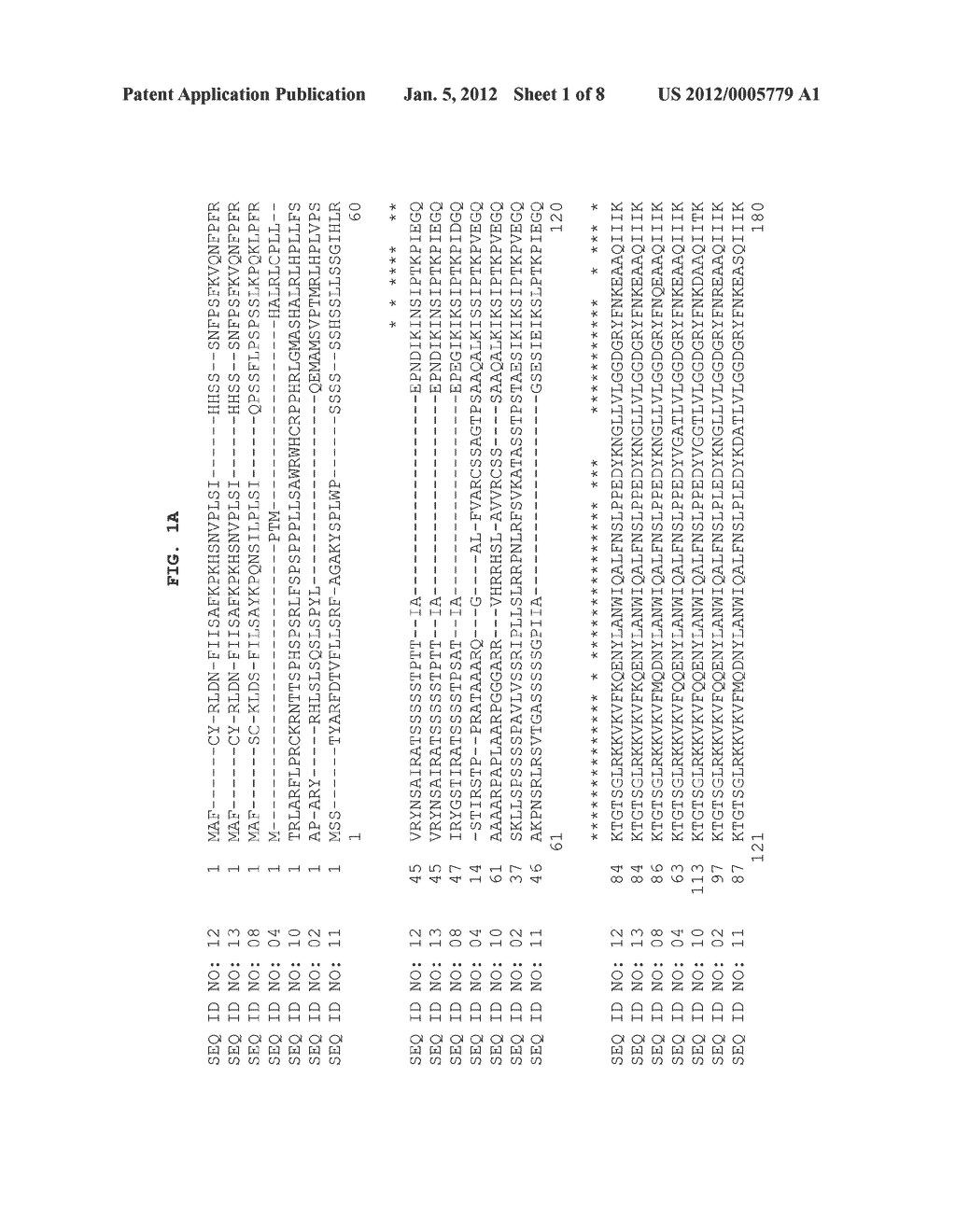 PLASTIDIC PHOSPHOGLUCOMUTASE GENES - diagram, schematic, and image 02