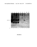 CHEMICALLY INDUCIBLE CUCUMBER MOSAIC VIRUS PROTEIN EXPRESSION SYSTEM diagram and image