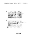 CHEMICALLY INDUCIBLE CUCUMBER MOSAIC VIRUS PROTEIN EXPRESSION SYSTEM diagram and image