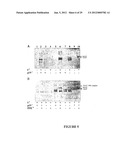 CHEMICALLY INDUCIBLE CUCUMBER MOSAIC VIRUS PROTEIN EXPRESSION SYSTEM diagram and image