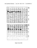 CHEMICALLY INDUCIBLE CUCUMBER MOSAIC VIRUS PROTEIN EXPRESSION SYSTEM diagram and image