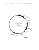 CHEMICALLY INDUCIBLE CUCUMBER MOSAIC VIRUS PROTEIN EXPRESSION SYSTEM diagram and image