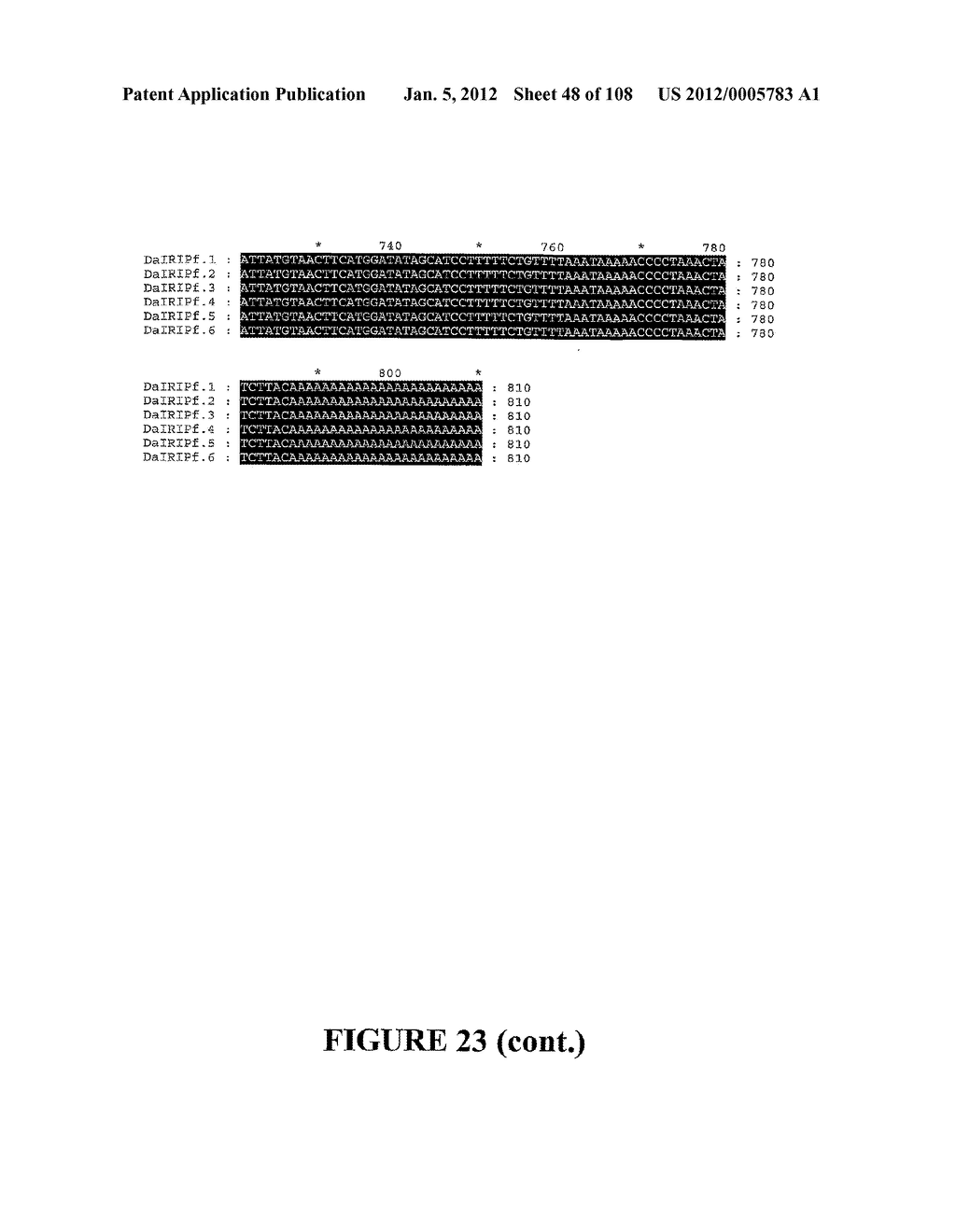 ICE RECRYSTALLISATION INHIBITION PROTEIN OR ANTIFREEZE PROTEINS FROM     DESCHAMPSIA, AND FESTUCA SPECIES OF GRASS - diagram, schematic, and image 49