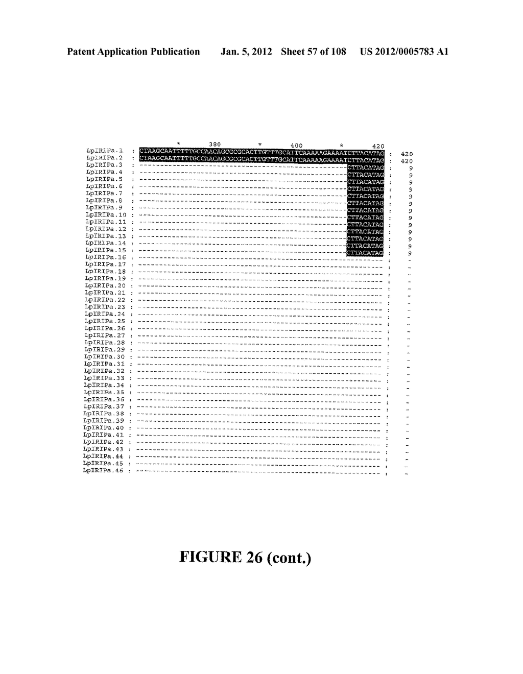 ICE RECRYSTALLISATION INHIBITION PROTEIN OR ANTIFREEZE PROTEINS FROM     DESCHAMPSIA, AND FESTUCA SPECIES OF GRASS - diagram, schematic, and image 58