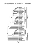 PLANT TOLERANCE TO LOW WATER, LOW NITROGEN AND COLD II diagram and image