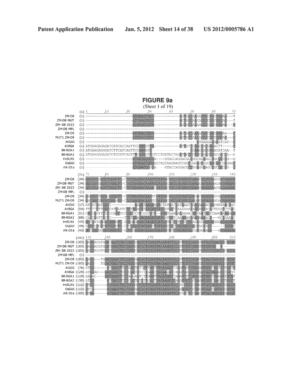 Isolated Polynucleotide Molecules Corresponding to Mutant and Wild-Type     Alleles of the Maize D9 Gene and Methods of Use - diagram, schematic, and image 15