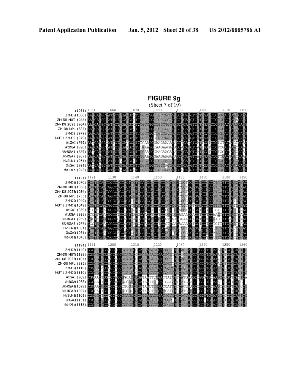 Isolated Polynucleotide Molecules Corresponding to Mutant and Wild-Type     Alleles of the Maize D9 Gene and Methods of Use - diagram, schematic, and image 21