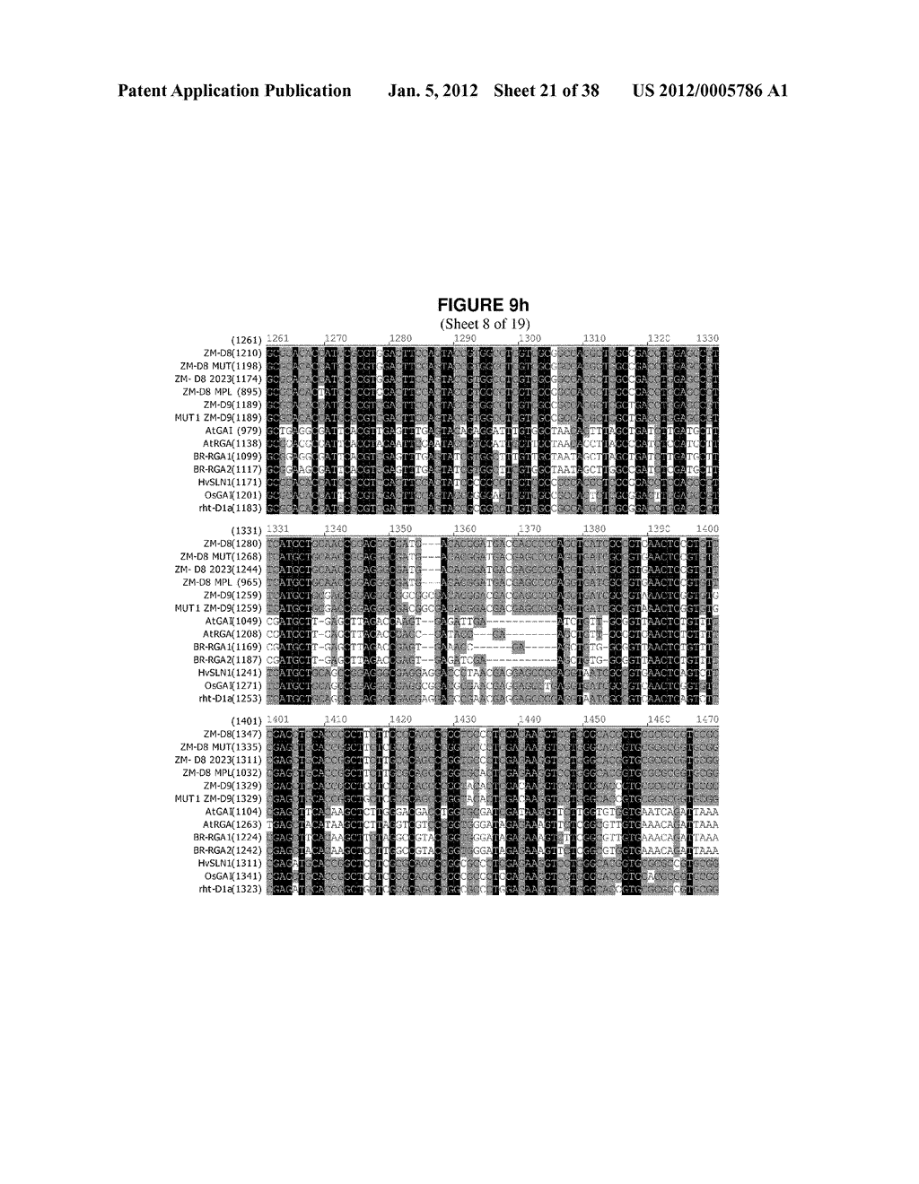 Isolated Polynucleotide Molecules Corresponding to Mutant and Wild-Type     Alleles of the Maize D9 Gene and Methods of Use - diagram, schematic, and image 22