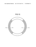 OPERATOR CONDITION DETECTING DEVICE AND STEERING WHEEL diagram and image