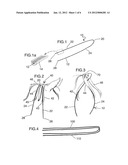 HORSE HAIR BRAIDING DEVICE AND METHOD diagram and image