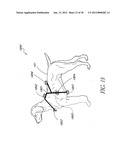 TRAINING GUIDANCE SYSTEM FOR CANINES, FELINES, OR OTHER ANIMALS diagram and image