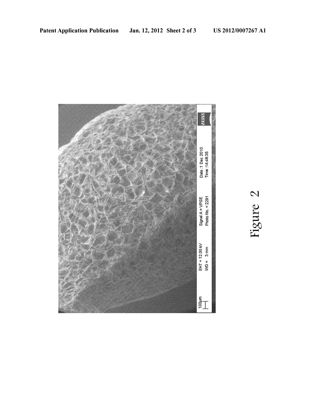 Method of Producing Compostable or Biobased Foams - diagram, schematic, and image 03