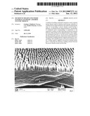 Method of Molding Polymeric Materials to Impart a Desired Texture Thereto diagram and image