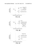 METHOD AND PROGRAM FOR SETTING THRESHOLD, AND METHOD, PROGRAM AND DEVICE     FOR DETECTING TARGET OBJECT diagram and image