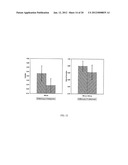 Method and System for Wholesomeness Inspection of Freshly Slaughtered     Chickens on a Processing Line diagram and image