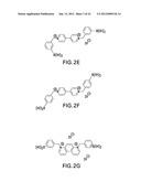 OPTICAL DETERMINATION OF GLUCOSE UTILIZING BORONIC ACID ADDUCTS diagram and image