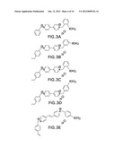 OPTICAL DETERMINATION OF GLUCOSE UTILIZING BORONIC ACID ADDUCTS diagram and image