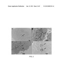 Viral Therapy and Prophylaxis Using Nanotechnology Delivery Techniques diagram and image