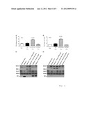 Viral Therapy and Prophylaxis Using Nanotechnology Delivery Techniques diagram and image